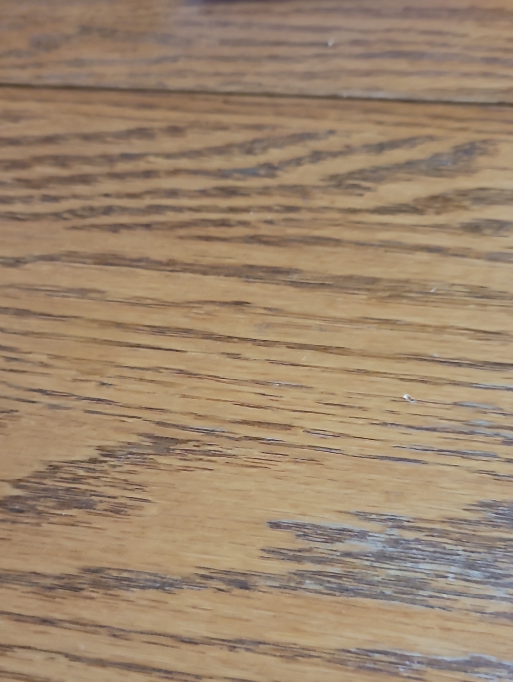 Disney Wood-Grain Decorative Accent - Brown